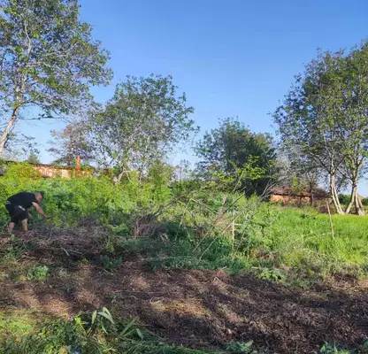 Photo 4 — Plot in Oblast Vraca, Oryahovo
