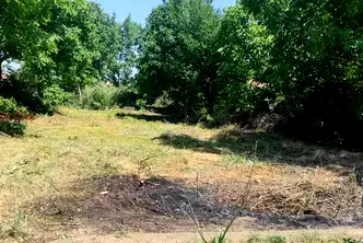 Парцел във Враца, Оряхово