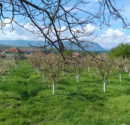 Снимка 2 — Парцел във Враца, с. Лиляче