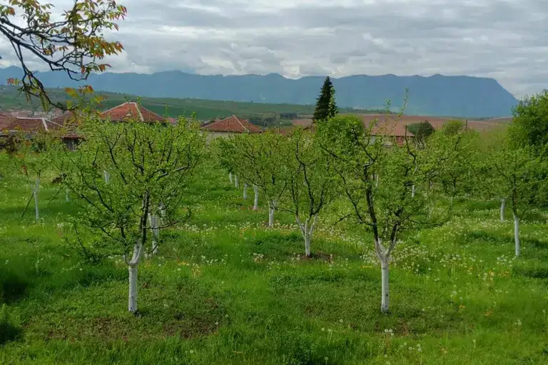 Парцел във Враца, с. Лиляче