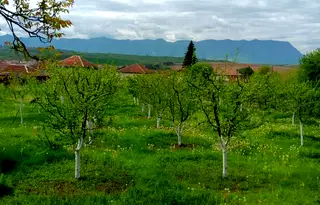 Парцел във Враца, с. Лиляче