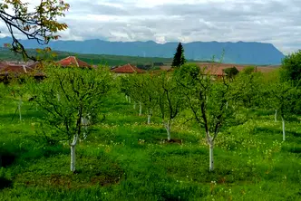 Парцел във Враца, с. Лиляче
