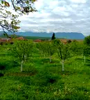 Парцел във Враца, с. Лиляче
