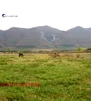 Парцел във Враца, с. Нефела
