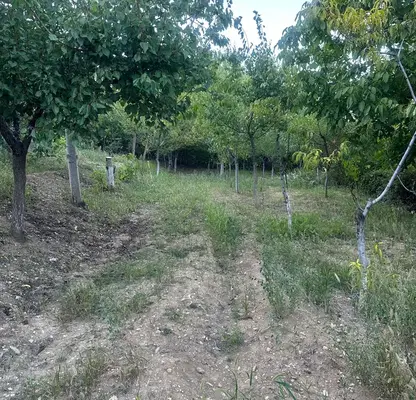 Photo 2 — Plot in Oblast Vraca, Pavolche