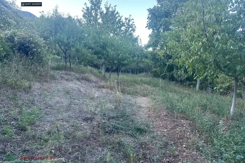 Plot in Oblast Vraca, Pavolche