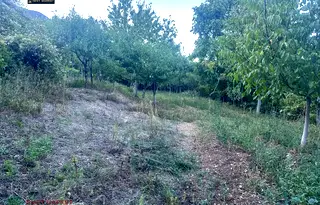 Парцел във Враца, с. Паволче