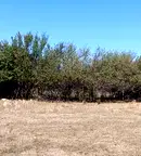 Парцел във Враца, с. Соколаре