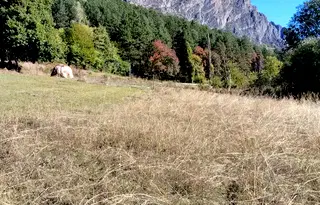 Парцел във Враца, с. Згори