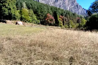 Парцел във Враца, с. Згори