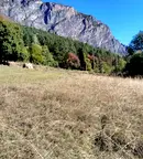 Парцел във Враца, с. Згори