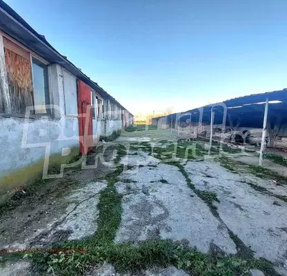 Photo 4 — Plot in Oblast Yambol, Elhovo