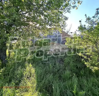 Photo 5 — Plot in Oblast Yambol, Aleksandrovo