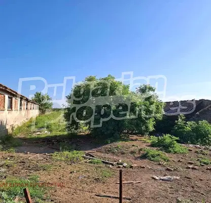 Photo 4 — Plot in Oblast Yambol, Kirilovo
