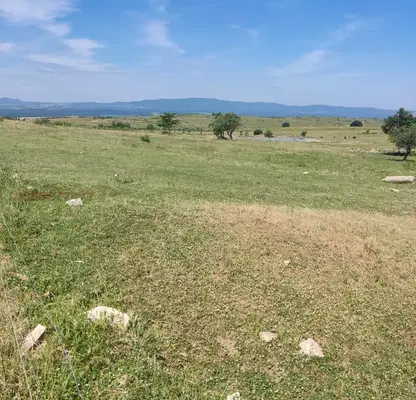 Photo 4 — Plot in Oblast Yambol, Lesovo