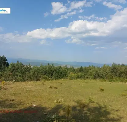 Photo 4 — Agricultural Land in Oblast Blagoevgrad, Bansko
