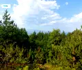 Снимка 5 — Земеделски имот в Благоевград, Банско