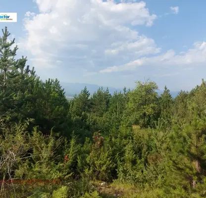 Photo 5 — Agricultural Land in Oblast Blagoevgrad, Bansko