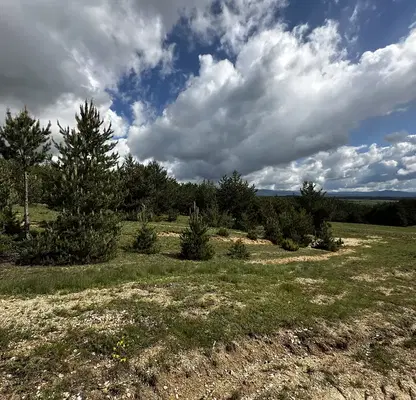 Photo 2 — Agricultural Land in Oblast Blagoevgrad, Bachevo