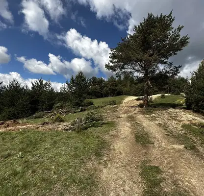 Photo 3 — Agricultural Land in Oblast Blagoevgrad, Bachevo