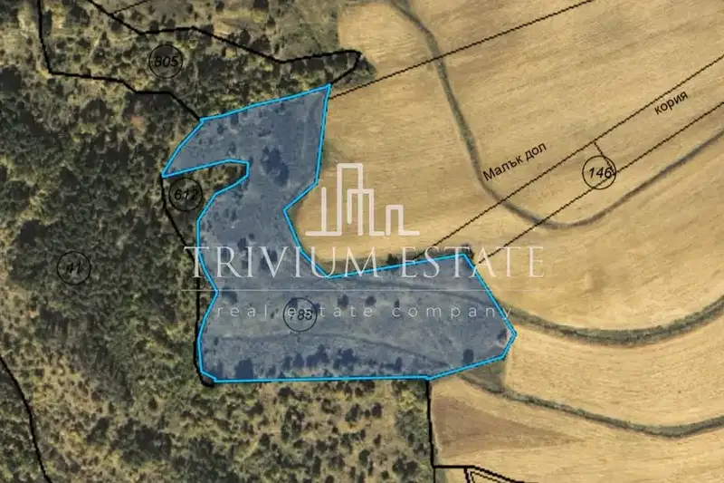 Agricultural Land in Oblast Burgas, с. Балабанчево