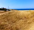 Снимка 2 — Земеделски имот в Бургас, с. Синеморец