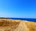 Снимка 3 — Земеделски имот в Бургас, с. Синеморец