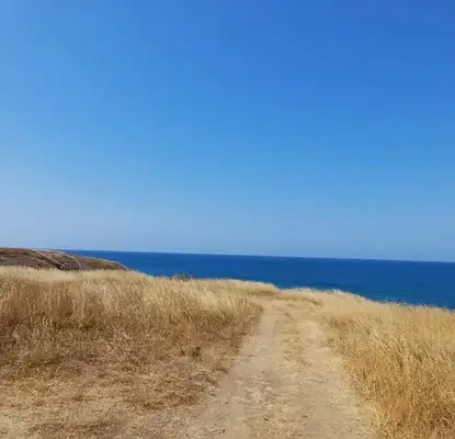 Photo 3 — Agricultural Land in Oblast Burgas, Sinemorec