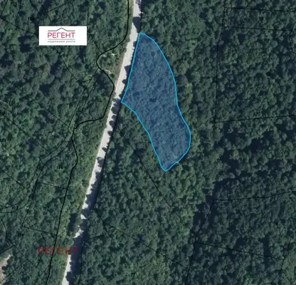 Photo 5 — Agricultural Land in Oblast Gabrovo, Gabrovo