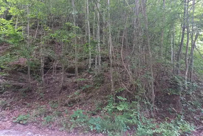 Agricultural Land in Oblast Lovech, Chiflik