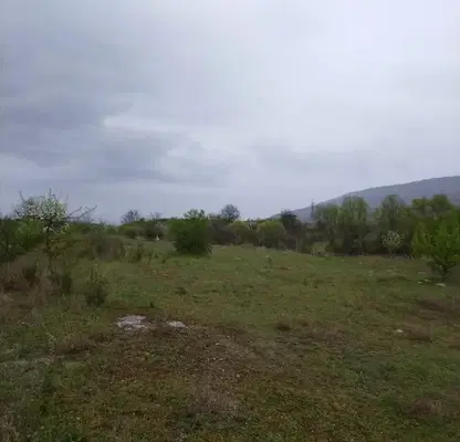 Photo 2 — Pasture in Shumen, Kaspichan