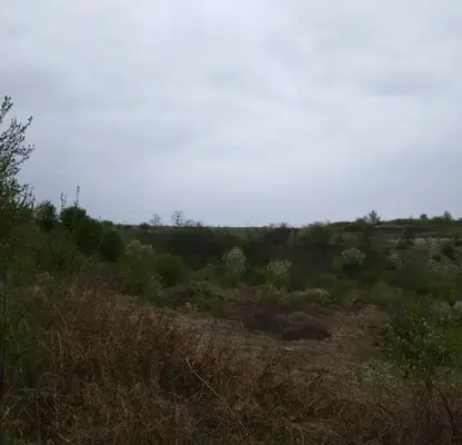 Photo 5 — Pasture in Shumen, Kaspichan