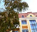 Снимка 3 — Промишлена сграда в Добрич, Център