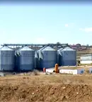 Промишлена сграда в Монтана, Кошарник