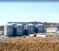 Снимка 3 — Промишлена сграда в Монтана, Кошарник