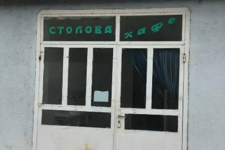 Industrial Building in Tyrgovishte, Promishlena Zona