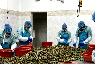 Промишлена сграда в Сливен, Промишлена зона