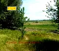 Снимка 3 — Промишлена сграда в Добрич, с. Гурково