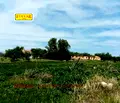 Снимка 4 — Промишлена сграда в Добрич, с. Гурково