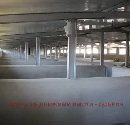 Снимка 3 — Промишлена сграда в Добрич, с. Паскалево