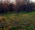 Снимка 5 — Промишлена сграда в Кюстендил, Дупница