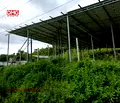 Снимка 2 — Промишлена сграда в Кюстендил, с. Мали Върбовник