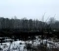 Снимка 2 — Промишлена сграда в Кюстендил, с. Невестино