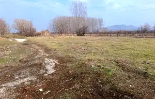 Промишлена сграда в Пазарджик, с. Алеко Константиново