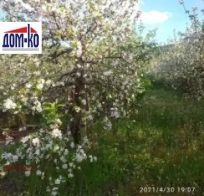 Снимка 4 — Промишлена сграда в Пазарджик, с. Бяга