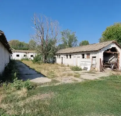 Снимка 3 — Промишлена сграда в Пазарджик, с. Драгор
