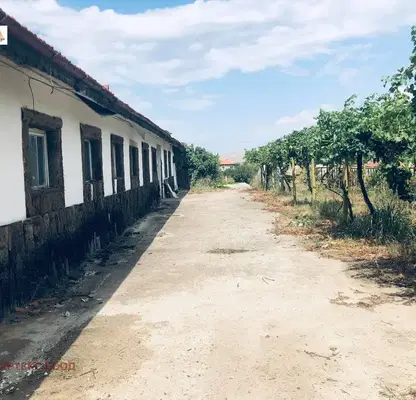 Снимка 2 — Промишлена сграда в Пазарджик, с. Козарско