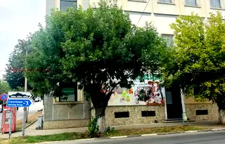 Промишлена сграда в Плевен, Кнежа