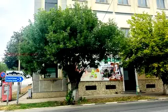 Промишлена сграда в Плевен, Кнежа