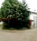 Промишлена сграда в Пловдив, Сопот